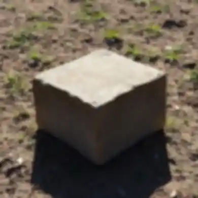 Placeholder